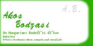 akos bodzasi business card